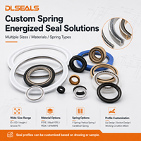 Sello Energizado por Resorte PEEK para Vástago de Cilindro Hidráulico, Sellado de PTFE Resistente al Calor, Ingeniería Personalizada Dlseals
