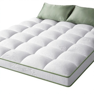 <span class=keywords><strong>Surmatelas</strong></span> extra-épais de 2 pouces pour lit Queen Size, ultra-doux en viscose de bambou, avec poches profondes et silencieux - Product Image 1