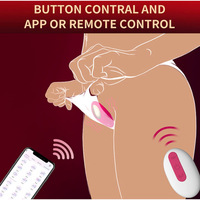 Hot New App Remote Sucking 2 en 1 Vibromasseur de culotte portable avec puissant vibrateur de culotte d'aspiration de vibration de 9 modes pour les femmes