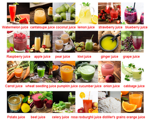 Machine à pulper les fruits à double étage, nouvelle machine à pulper les fruits, excellent <span class=keywords><strong>rapport</strong></span> <span class=keywords><strong>qualité</strong></span>-<span class=keywords><strong>prix</strong></span> - Product Image 6