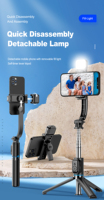 Perche à Selfie Vidéo Trépied Portable avec Télécommande Sans Fil et Lumière LED pour iPhone 16 15 14 13 et Smartphones Samsung