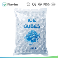 Sacs à glace réutilisables de qualité alimentaire RAYBO 1 kg, sacs de stockage de glace en plastique à fermeture éclair étanche pour usage commercial