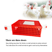 Cage de transport pour volailles QA, pour poulets, oiseaux ou petits animaux
