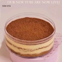 Grande Boîte à Tiramisu en Plastique Acrylique, Récipient Transparent pour Gâteaux, Tiramisus et Desserts à la Gelée