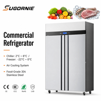 Congélateur vertical commercial sur mesure à 2 portes, refroidissement par air, dégivrage automatique, en acier inoxydable 304, pour cuisine professionnelle