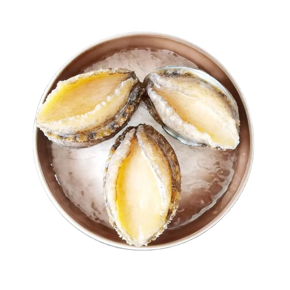Sortie d'usine produit chinois délicieux fruits de mer crustacés ormeau à vendre fruits de mer surgelés