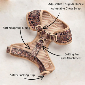 Arnés y Correa Ajustables para Perros, Diseño Clásico 2025, <span class=keywords><strong>Material</strong></span> de Poliéster - Product Image 3