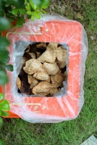 Té de Naranja de Alta Gama, Chenpi de Piel de Naranja Seca, Regalos de Año Nuevo y Festividades para Ancianos y Amigos - Product Image 2