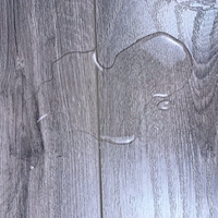 China Eco Forest HDF AC4 AC3 impermeable laminado tecnología alemana suelo laminado de madera