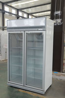 Congélateur vertical commercial à double porte vitrée, refroidissement par ventilateur, dégivrage automatique, en acier inoxydable, pour supermarché