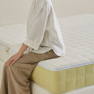 Modern Hotel Cloud Feeling Soft Mattress Memory Foam Roll-Up Mattress <b>Compress</b> <b>Spring</b> Mattress Bed Comfortable Matress King Size - Product Image 4