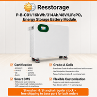 Module de batterie LiFePO4 16 kWh 314 Ah pour projets solaires, applications commerciales de sauvegarde et de systèmes d'onduleurs