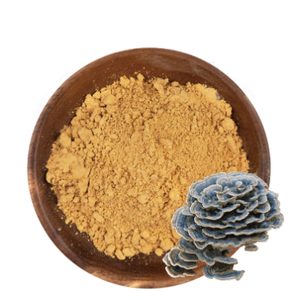 Pasokan pabrik kualitas terbaik bubuk ekstrak frondoa grifola besar untuk minum - Product Image 2