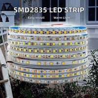 Guirlandes lumineuses LED intelligentes 12V à trois couleurs en cuivre avec contrôle tactile pour éclairage de miroir de salle de bain et maquillage