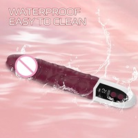 10-Modus Vibrations-Realistischer Dildo Vibrator mit LED-Anzeige Weiblicher Klitoris- und Analstimulator Wiederaufladbares Erwachsenen-Sexspielzeug für Frauen
