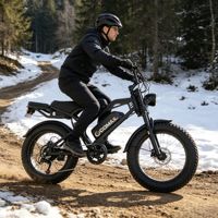 Vélo électrique à batterie lithium, pneus larges de 20 pouces, cadre en fer, freins à disque doubles, charge maximale 200 kg, pour la neige et la plage