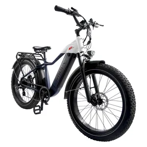 가장 매력적인 알루미늄 합금/강철 구조 뚱뚱한 타이어 자전거 바닷가 Ebike 26 인치 48v 16ah 전기 자전거 자전거