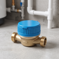 Daily Use Domestic Cold Single Jet Digital IP68 Brass DN15 Dry Dial OEM RUIYANG Water Meter