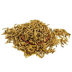 Larves de Mouches Soldat Noires Séchées 100% Naturelles BSFL – Riche en Protéines, Emballage Personnalisé, Alimentation Animale - Product Image 1