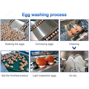 Limpiador de huevos sucios industriales OCEAN, línea de lavado de huevos, máquina clasificadora de secado de huevos de ganso de acero inoxidable - Product Image 3
