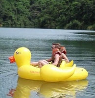 Chaise de piscine gonflable motorisée, tongs en forme de canard, nouveauté