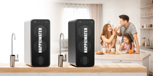 Undersink tankless 1000 GPD Alkaline RO hệ thống lọc nước với TDS cho thấy thông minh RO Vòi nước suốt đời nhắc nhở Đối với trang chủ sử dụng - Product Image 6