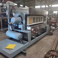 Plateau à oeufs ZT-5 * 4 faisant la machine 3500-4000 pièces/heure machines de produit de papier économique pour les petites entreprises prix bon marché