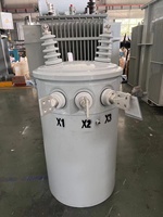 Transformateur monophasé monté sur poteau, prix d'usine, 50 kVA, 100 kVA, 167 kVA, 34,5 kV/0,48 kV