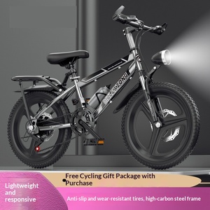 Vélo de montagne pour enfants, garçons et filles, cadre en acier à haute teneur en carbone, absorption des chocs, frein à disque, roue monobloc - Product Image 2