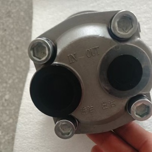 Pompe à engrenages pour huile CBHZG-F32-ALH6L, pompe hydraulique à engrenages en acier inoxydable CBHZQA-F25-AL, CBHZG-F32-ALH6L, CBHZ-F28.2-AL - Product Image 2