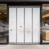 Rideau de porte en PVC à aspiration magnétique, transparent, coupe-vent, à bande souple, pour magasin et maison, anti-insectes et contrôle de la température