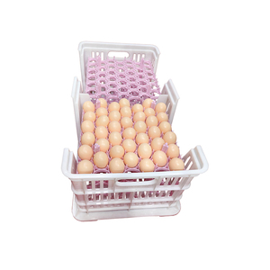 Chất Lượng Cao Lưới Lớn Pe Bền Doanh Thu Trứng Mạnh Vận Chuyển Lưu Trữ Có Thể Gập Lại Nhựa Trứng Crate Cho 30 Quả Trứng - Product Image 6