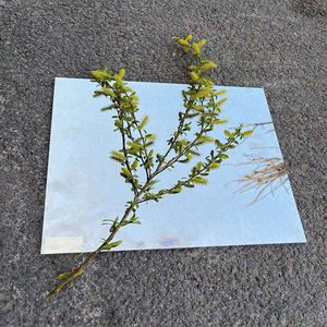 ขายส่ง<span class=keywords><strong>ราคา</strong></span>ขนาดใหญ่ขายกระจกสองทางที่กำหนดเองขนาด Teleprompter ซูเปอร์ฟิล์มบางแก้ว - Product Image 5