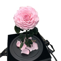 Vente en gros d'usine, Saint-Valentin, Noël, Nouvel An, dôme en verre, roses éternelles, boîte cadeau enchantée Belle