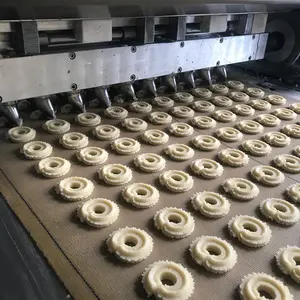 APEX küçük otomatik bisküvi şekillendirme makinesi sanayi çerez döner kalıp otomatik tepsi yükleme