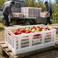 Caisse pliable ventilée en HDPE de qualité alimentaire pour fruits, en maille durable, idéale pour l'agriculture – Offre spéciale