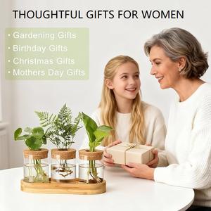 Stations de propagation, terrarium pour plantes avec couvercle et support en bois, vase à fleurs en verre pour bureau, décoration intérieure, cadeaux - Product Image 5
