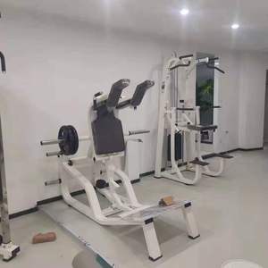 Commercial Fitness Equipment Sports Strength <strong>Exercise</strong> Equipment/Vertical Hack <strong>Squats</strong> - Product Image 3