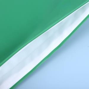 Sacs d'emballage en gros avec cordon de serrage, en stock chez le fabricant, pour vêtements, serviettes givrées en PE, vêtements de protection solaire, chaussettes, avec motif panda vert mignon - Product Image 5