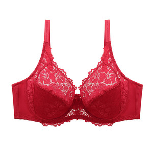 <span class=keywords><strong>Reggiseno</strong></span> <span class=keywords><strong>Minimizer</strong></span> Push-up in Maglia Traspirante con <span class=keywords><strong>Ferretto</strong></span> e Pizzo, Supporto Laterale Regolabile per Donne con Seno Grande - Vendita Diretta dalla Fabbrica - Product Image 2