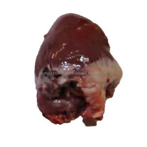 Distribuidor de hígado de cerdo congelado Almacén de hígado de cerdo congelado - Product Image 1