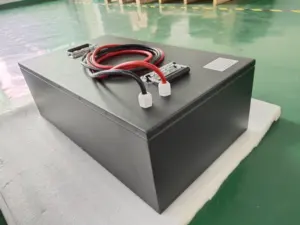 Заводская Прямая продажа индивидуальный литий-ионный аккумулятор LiFePO4 24 в 50 Ач RV походная тележка для гольфа EV хранилище солнечной энергии