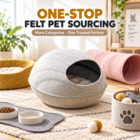 Lit pour chat en feutre de forme ovale personnalisé, maison fermée pour animaux de compagnie, pour chats et chatons, vente en gros OEM ODM