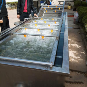 Limpiador de Frutas, Verduras y Mariscos con Función de Burbujas y Ozono para Manzanas, Naranjas, Espinacas, Brócoli, Máquina de Limpieza de Alimentos - Product Image 1