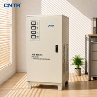 Stabilisateur de tension de type pointeur CNTR TNS 60KVA - Type servo triphasé 380V/400V/415V AVR pour la maison
