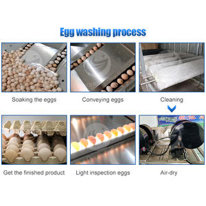 เครื่องทำความสะอาดแปรงขัดไข่ไก่เครื่องทำความสะอาดไข่เป็ดเค็มแบบอุตสาหกรรมจากร้าน orme - Product Image 3