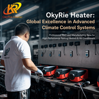 Calentador de Estacionamiento Diésel OkyRie AX82H CE ROHS Seguro Todo en Uno de 8-10kW con Protección Contra Sobrecalentamiento 12V/24V para Autocaravanas, Caravanas y Camiones