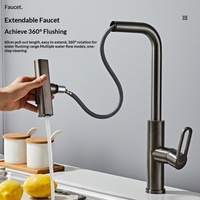 Robinet de cuisine extractible en acier inoxydable gris Modèle C222 pour évier de lavage de légumes, évier de vaisselle, évier de balcon, évier de buanderie, eau froide et chaude