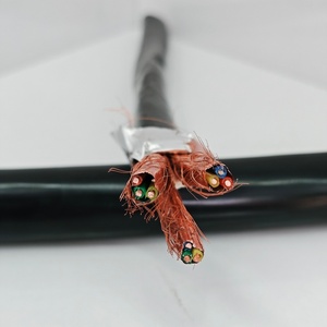 शील्डड कंप्यूटर केबल <span class=keywords><strong>4</strong></span>/6 कोर 0.3-0.75mm वर्ग के लिए फंसे तांबा - Product Image 5