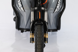 Triciclo, Motocicleta de 3 Ruedas, Scooter de Largo Alcance con Batería de Plomo-Ácido - Product Image 6